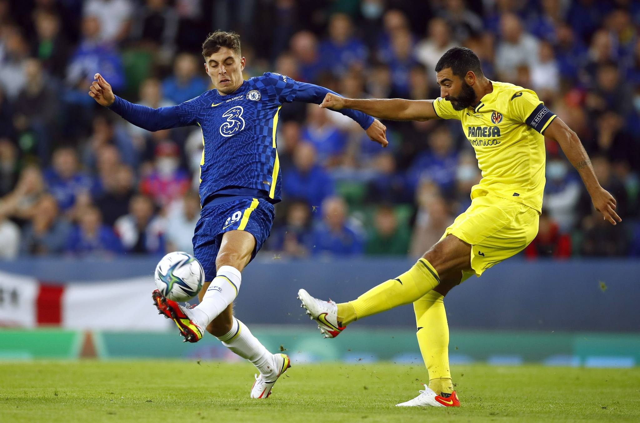 性与持久性 性与持久性